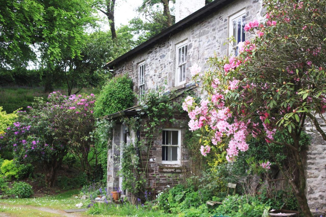 Devon Country Paradise Tavistock  Kültér fotó