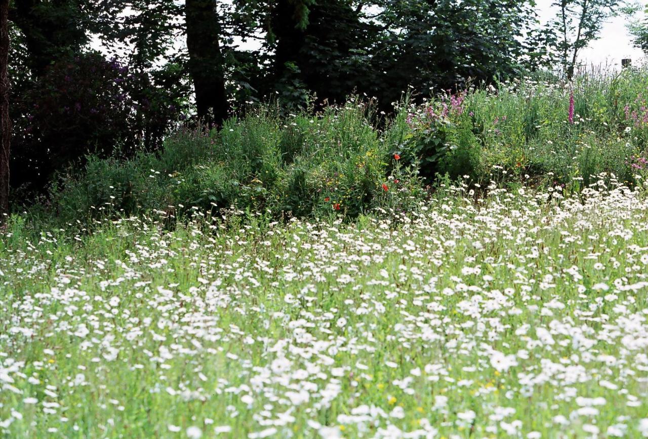 Devon Country Paradise Tavistock  Kültér fotó