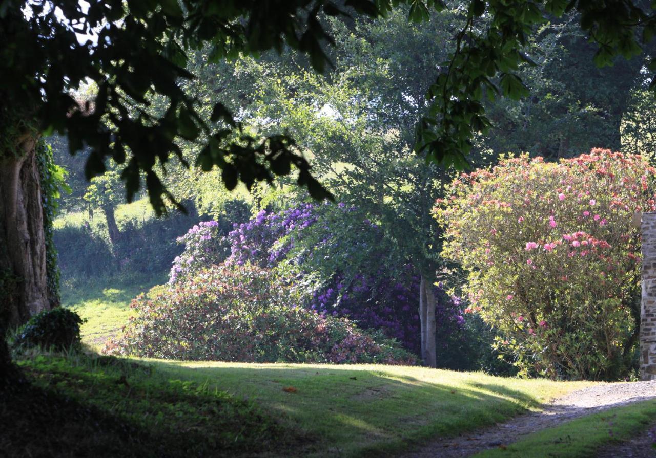 Devon Country Paradise Tavistock  Kültér fotó