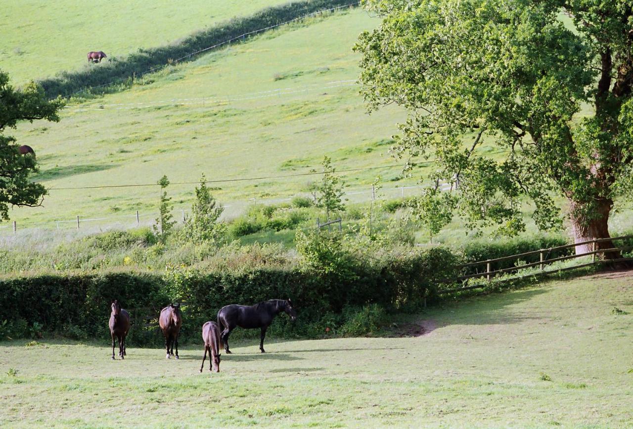 Devon Country Paradise Tavistock  Kültér fotó