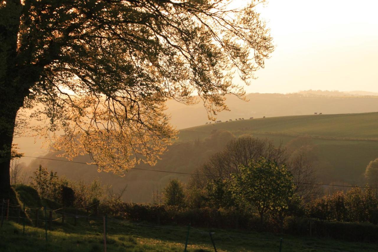 Devon Country Paradise Tavistock  Kültér fotó