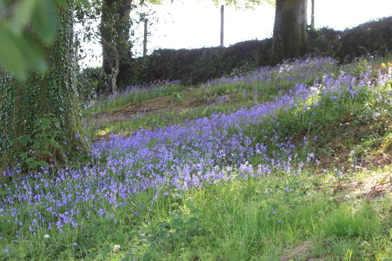 Devon Country Paradise Tavistock  Kültér fotó